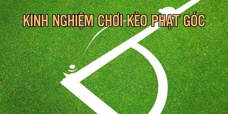 Mẹo chơi hiệu quả cho người mới bắt đầu từ chuyên gia Kubet77